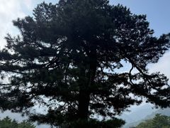 -秦岭终南山世界地质公园翠华山景区