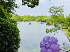 -上海共青森林公园