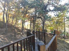 -北京十三陵国家森林公园蟒山景区