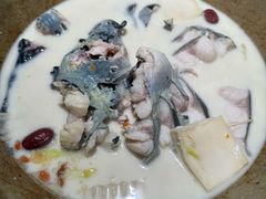 -老福耶小草帽石锅鱼(奥体店)