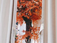 -鸽子窝(万丰路店)