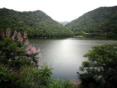 -南山饭店(阳明古镇店)