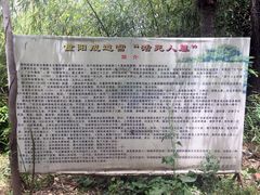 -活死人墓