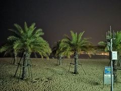 -演武大桥观景平台