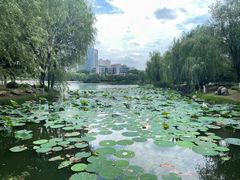 -后襄河公园