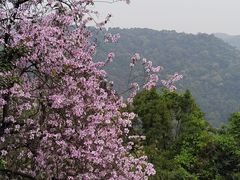 -广州市白云山风景名胜区