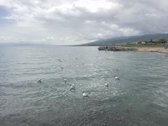 -青海湖二郎剑景区