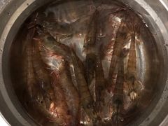 鲜活跳跳虾-小象超市(原美团买菜三泉路店)