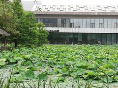 -3W咖啡(国家软件园店)