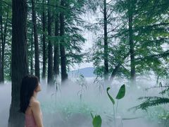 -东湖落雁景区