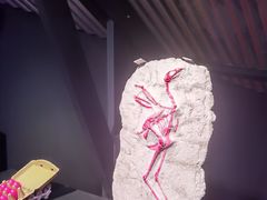 -现代汽车文化中心 Hyundai Motorstudio Beijing