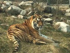 -西安秦岭野生动物园