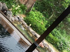 -南紀白浜 浜千鳥の湯 海舟