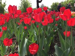 -长春公园(普阳街道)