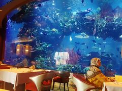 -迪拜帆船酒店海底餐厅