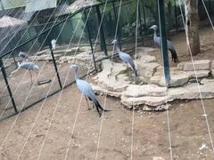 -大连森林动物园