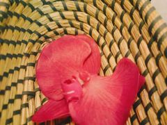 -Dragonfly悠庭·按摩Spa(静安嘉里中心店)