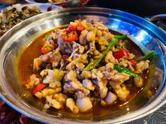 石锅牛蛙-虎虎龙虾大排档(双井店)