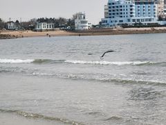 -青岛第一海水浴场