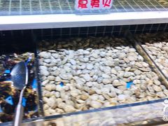 -聚盛源蒸汽海鲜火锅烤肉自助(巨川金海岸购物广场店)