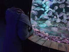 -多彩贵州城极地海洋世界