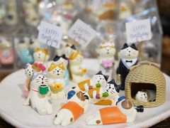 -猫咪博物馆(顶澳仔猫街店)