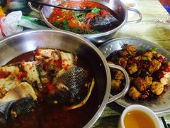 -风鑫铃罗非鱼(道沟店)