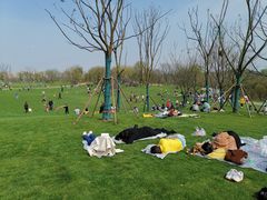 -盘龙城国家考古遗址公园