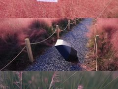 -汉长安城未央宫国家考古遗址公园