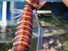 -辉记炭烧海鲜大排档·老字号(福田店)