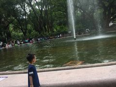 -九龙公园