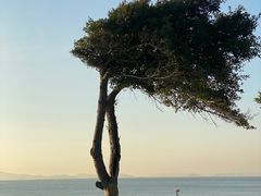 -椰风寨