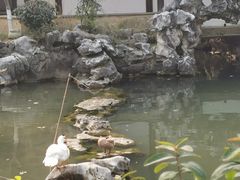-巡塘古镇