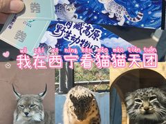 -青藏高原野生动物园