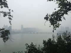 -桐君山春江扬帆码头