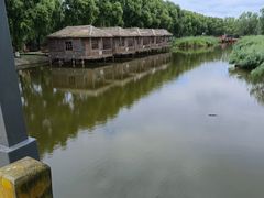 -白渔泡湿地公园