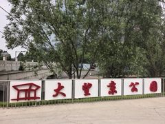 -大望京公园