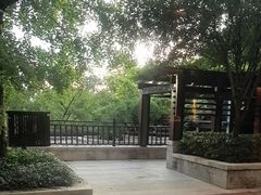 -羡餐厅·杭帮菜·淳菜(千岛湖自由洲际殿店)
