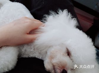 抱它摸摸它,还会舔人,都是口水໒(⊙ᴗ⊙)७✎▤哈哈