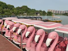 -八大山人梅湖景区