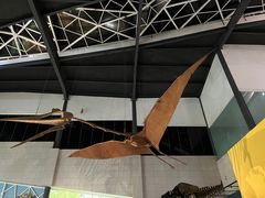 -湖南省地质博物馆