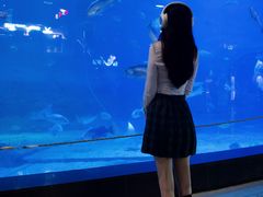 -烟台海昌鲸鲨海洋公园