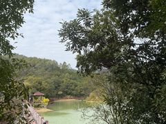 -广州白江湖森林公园