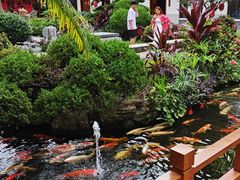 -聚福宝合苑食府(南头镇店)