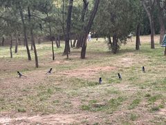 -森林公园(尖草坪区)