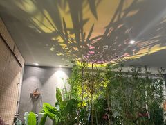 -施奈儿.洗头頭療.按摩SPA.采耳(上梅林店)