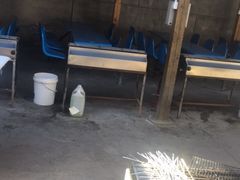 -亲兄弟真人CS团建拓展基地