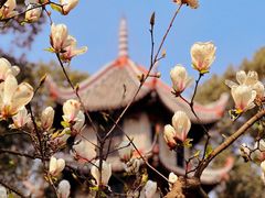 -成都杜甫草堂博物馆