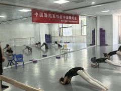 -西安小天鹅艺术团(金花路校区)