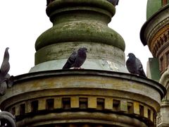 -滴血救世主教堂